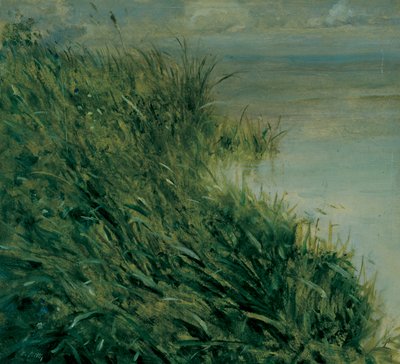 Étude de marais - Giuseppe or Joseph de Nittis