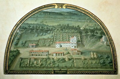 Colle Salvetti, d