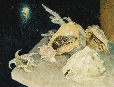 Coquillages - Glyn Warren Philpot