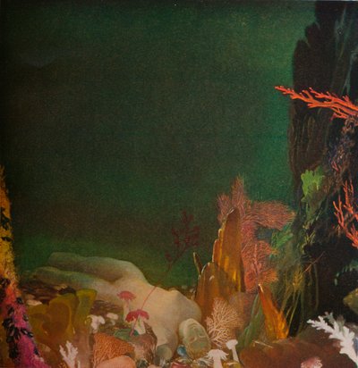 Sous la mer, vers 1904-1924, 1924 - Glyn Warren Philpot