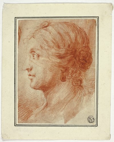 Buste de femme de profil à gauche - Godfrey Kneller