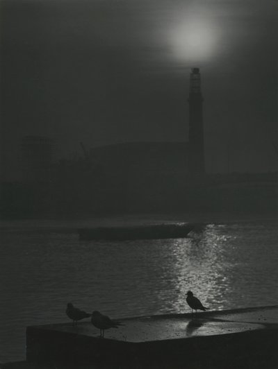 Silhouettes de mouettes au crépuscule près de la Tamise - Godfrey Macdominic