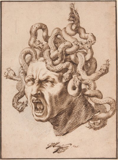 Tête de Méduse - Godfried Maes