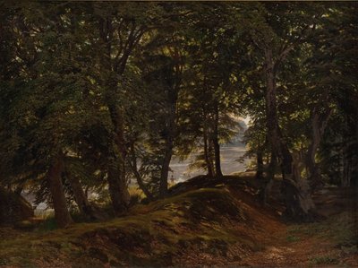 Un endroit ombragé dans Hestehave près de Frederiksborg - Godtfred Rump