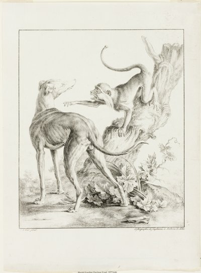 Chien et singe - Gottfried Engelmann