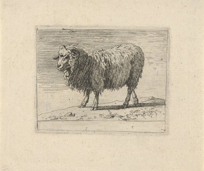 Bélier (Diverse animaux) - Govert van der Leeuw