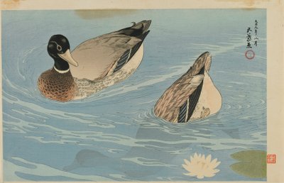 Canards, ère Taisho, août 1920 (impression sur bois en couleur) - Goyo Hashiguchi