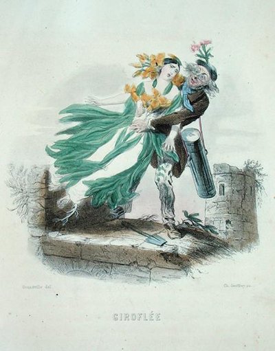 Herboriste volant la Giroflée, de 
