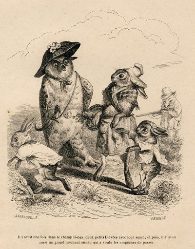 Deux petits lièvres avec leur grande sœur arrêtés par un hibou dans un champ. Un renard en train de chasser se tient derrière eux. Vignettes illustrées par JJ Granville. Gravure signée Brévière dans la partie "Histoire d