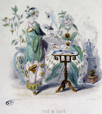 Allégorie du « Thé et Café » par Grandville, sd. 19ème siècle - Grandville