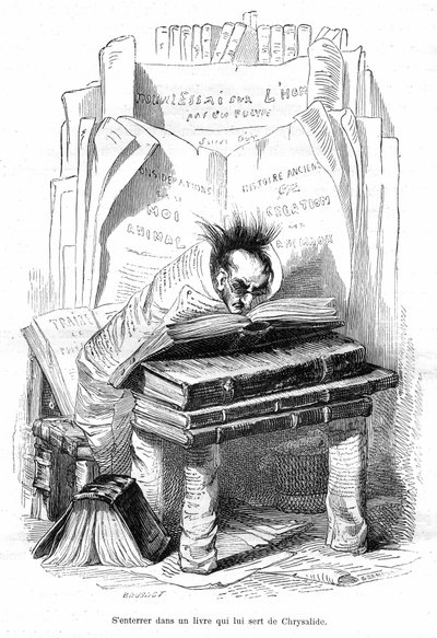 Caricature : Chrysalide d
