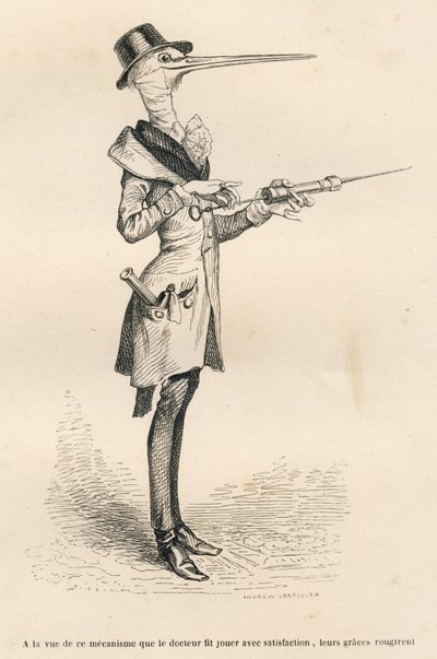 Cigogne en médecin manipulant un clystère - Grandville