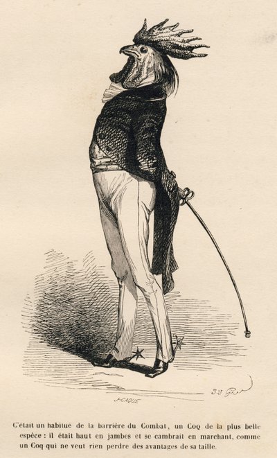 Coq habitué de la barrière de combat marchant fièrement. Vignettes illustrées par JJ Granville. Gravure signée Caqué dans "Histoire d