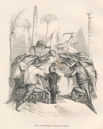 Crocodiles autour d