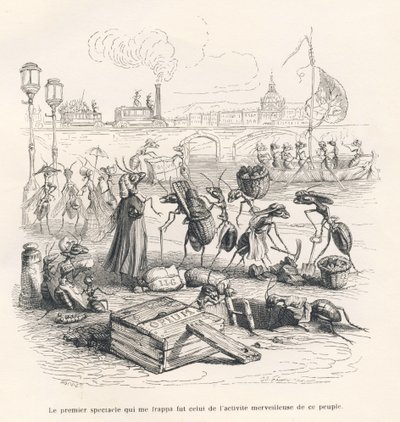Fourmis en pleine activité sur les berges de la Seine. Vignettes illustrées par JJ Granville. Gravure signée Porret dans "Voyage d