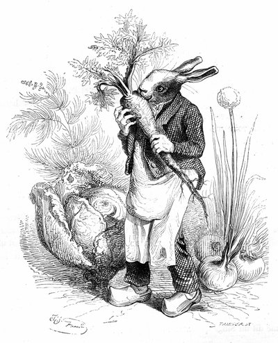 Gravure de Grandville, du livre "Vie privée et publique des animaux (Les animaux peints par eux-mêmes)", édition Hetzel 1867. Lapin jardinier en sabots croquant une carotte dans son potager où poussent des légumes (oignons et choux). - Grandville (1803 47)