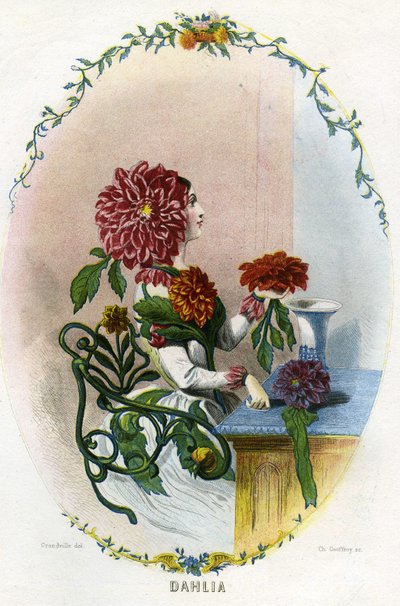 Illustration pour 