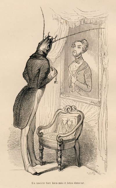 Insecte regardant son reflet humain dans le miroir (Les aventures d