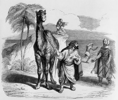 Fable de La Fontaine (par Jean de La Fontaine) : le Chameau et les Bâtons flottants, gravure de J.J. Grandville, vers 1838-40 - Grandville (1803 47)