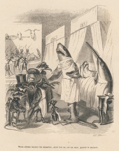 Les requins médecins expliquent leur intervention chirurgicale. Vignettes illustrées par JJ Granville. Gravure signée Godard dans la partie intitulée "Les animaux médecins" écrit par Pierre Bernard in "Scènes de la vie privée et publique des animaux". Pari - Grandville