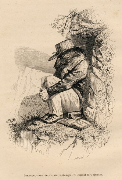 Loup retranché dans sa solitude contemplative - Grandville