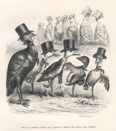 Métier d