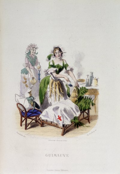 Personnification de la plante médicinale Guimauve soignant une grenouille - dans "Fleurs animées" par Grandville - Grandville