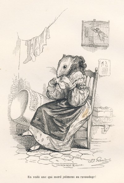 Souris raccommodant une chaussette. Vignettes illustrées par JJ Granville. Gravure signée Andrew, Best et Leloir dans la partie intitulée "Le rat philosophe" écrit par Edouard Lemoine in "Scènes de la vie privée et publique des animaux". Paris, J. Hetzel e - Grandville