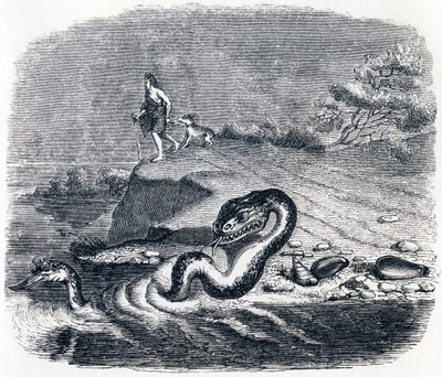 La tête et la queue du serpent - Fables de La Fontaine - Grandville