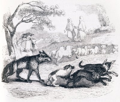 Le bassa et le marchand - Fables de La Fontaine - Grandville