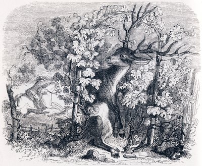 Le cerf et la vigne - Fables de La Fontaine - Grandville