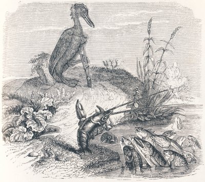 Les poissons et le cormoran - Fables de La Fontaine - Grandville