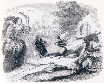 La mouche et la fourmi - Fables de La Fontaine - Grandville