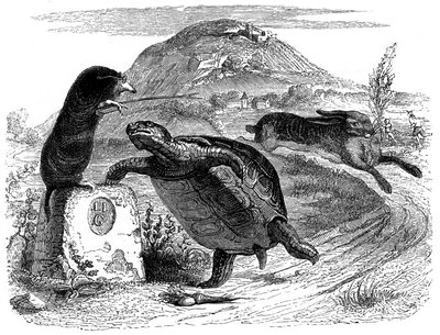 Le lièvre et la tortue : fable de La Fontaine illustrée par Grandville - Grandville (1803 47)