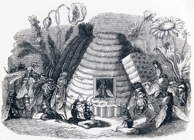 Les frelons et les mouches à miel - Fables de La Fontaine - Grandville