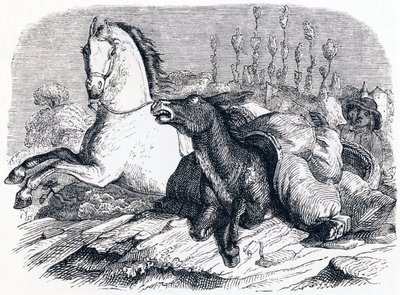 Le cheval et l