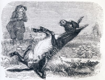Le vieillard et l