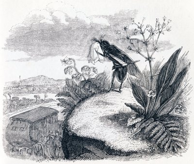 Le coche et la mouche - Fables de La Fontaine - Grandville