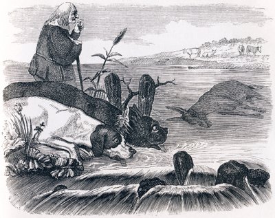 Les deux chiens et l