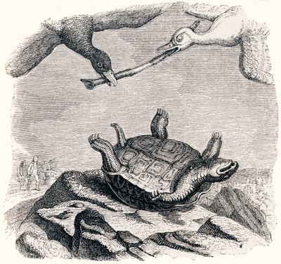 La tortue et les deux canards - Fables de La Fontaine - Grandville