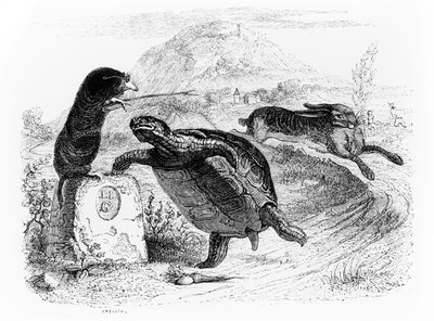 Le lièvre et la tortue, illustration pour 