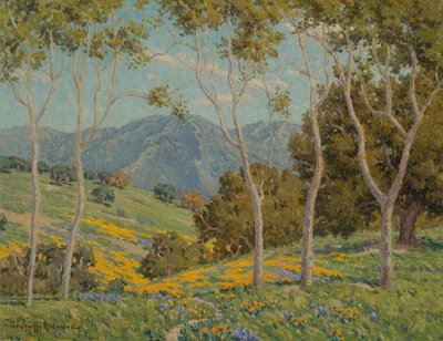 Coquelicots et eucalyptus - Granville Redmond
