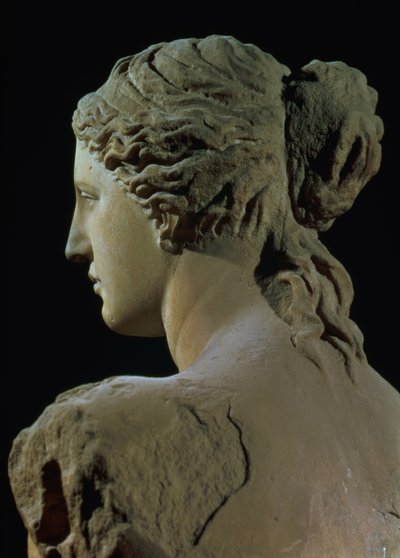 Vénus de Milo (détail) - Greek