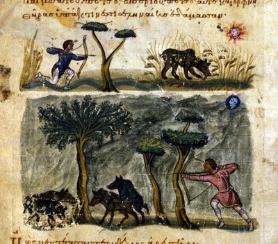 Chasse au sanglier d