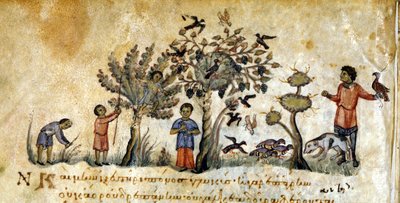Chasse au faucon pour capturer des oiseaux - dans « De Venatione » par Oppianus, manuscrit grec du XIIIe siècle. Biblioteca Marciana. Venise - Greek School