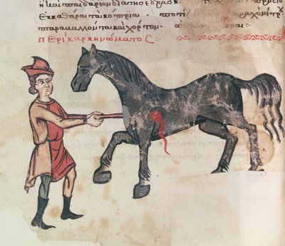 Ms Grec 2244 fol.37v Opération sur un cheval - Greek School