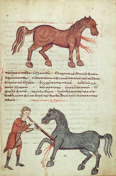 Ms Grec 2244 fol.4 Opération sur un cheval - Greek School