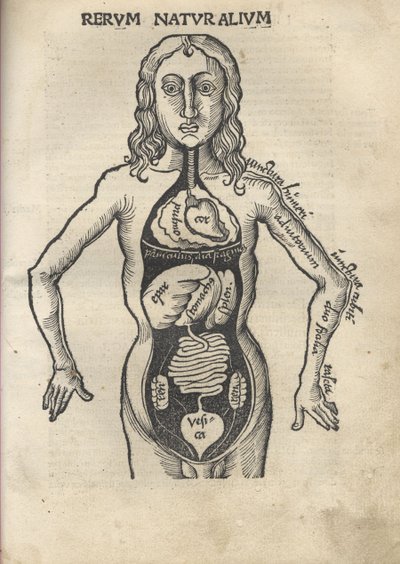 Margarita Philosophica. Anatomie, 1504 - Gregor Reisch