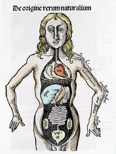 Section du corps humain - dans « Margarita Philosophica » par Gregor Reisch, Bâle 1517 - Gregor Reisch