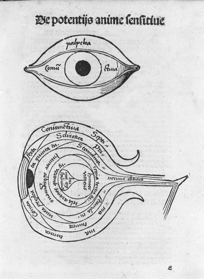 Étude de l